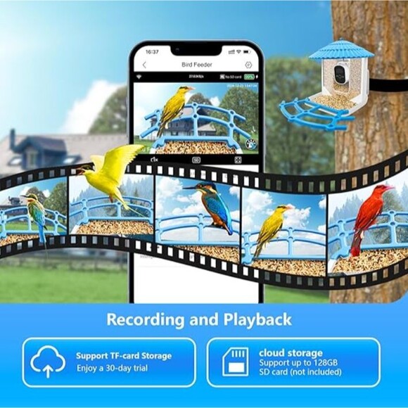 Smart Bird Feeder Camera 2.5K AI Identification Wireless Outdoor Night Vision - Picture 7 of 11